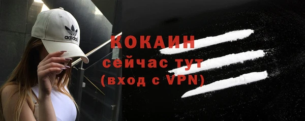 ECSTASY Костерёво