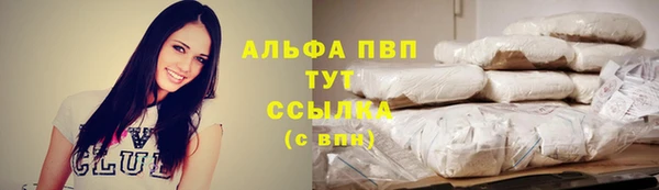 ECSTASY Костерёво