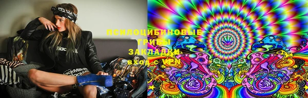 ECSTASY Костерёво