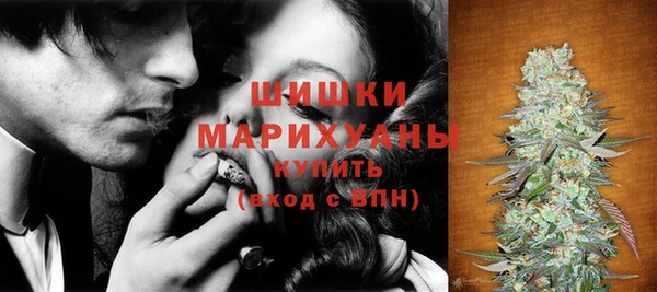 гашик Корсаков
