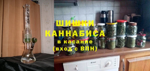гашик Корсаков