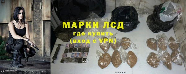 гашик Корсаков