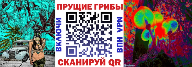 Псилоцибиновые грибы Magic Shrooms  Купить  Шахунья 