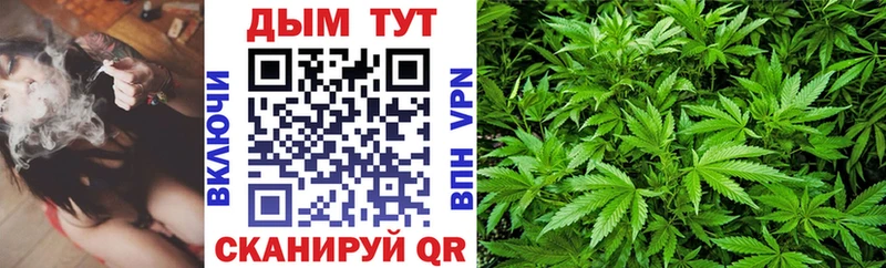 Купить закладки  Шахунья  Шишки марихуана тримм 